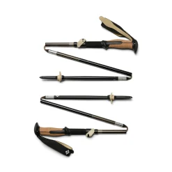 Trail Vista FLZ Trekking Poles