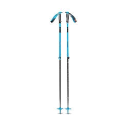 Traverse Ski Poles